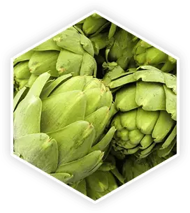 Artichoke Extract in ProstaVive