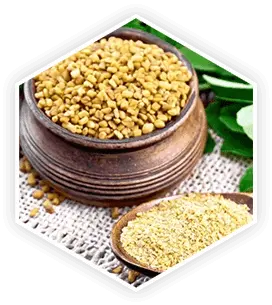 Fenugreek in ProstaVive